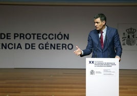 Pedro Sánchez arremete contra el juez Carretero en el XX aniversario de la ley contra la violencia de género