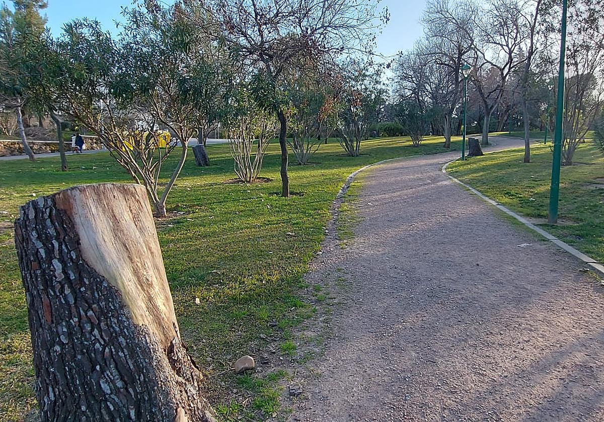 Aspecto que presenta el parque Cruz Conde de Córdoba