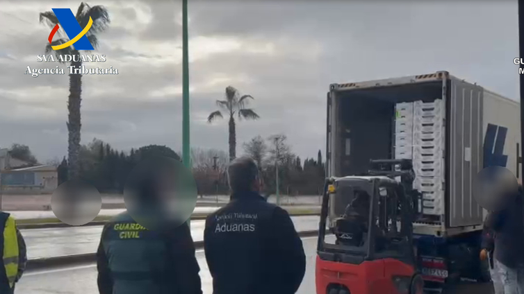 Interceptan 300 kilos de cocaína ocultos en un contenedor de piñas en el Puerto de Valencia