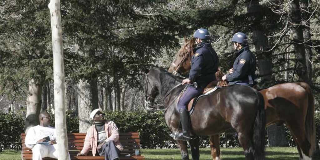 El PSOE del distrito Retiro lleva a Pleno una propuesta para poner 'pañales' a los caballos que patrullan por el parque