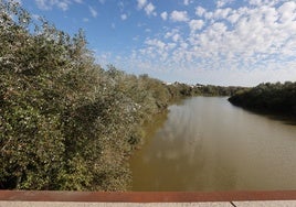 La declaración ambiental frena ahora la gran obra del parque fluvial del río Guadalquivir en Córdoba