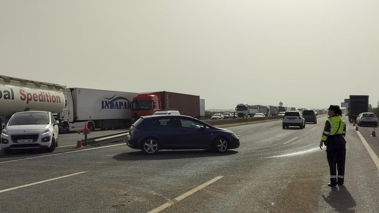 Pánico por un camionero que multiplicaba por ocho la tasa de alcohol: «No se mantenía en pie»