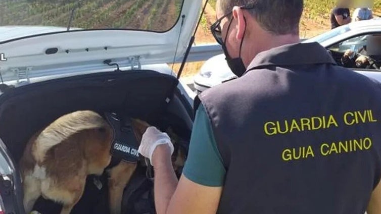 Rayo lo ha vuelto a hacer: el perro de la Guardia Civil de Albacete pilla a dos hombres con 200 gramos de hachís en un vehículo