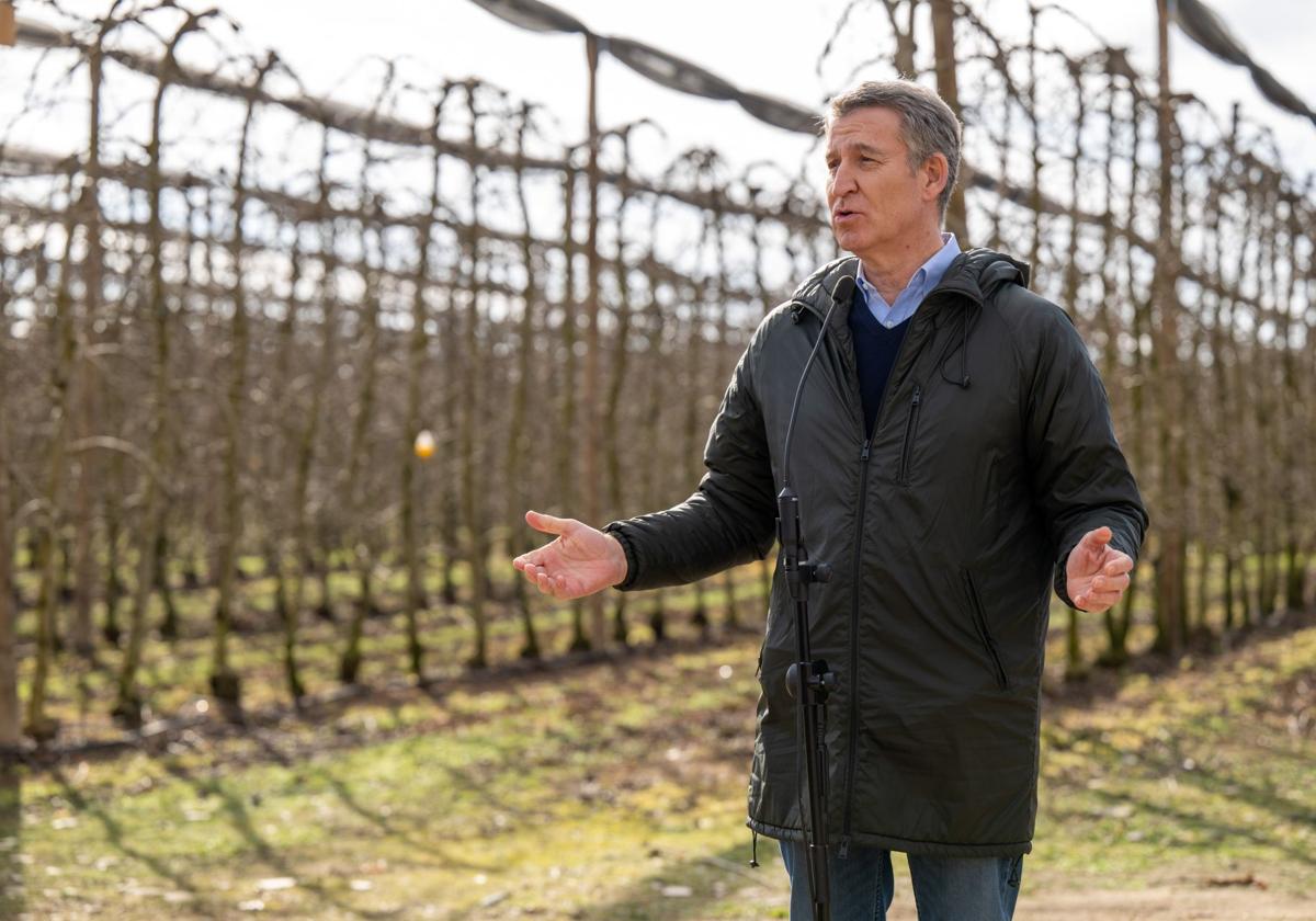 El presidente del Partido Popular, Alberto Núñez Feijóo, atiene a la prensa tras la visita que ha realizado a la empresa hortofrutícola Nufri, en Mollerusa (Lleida)