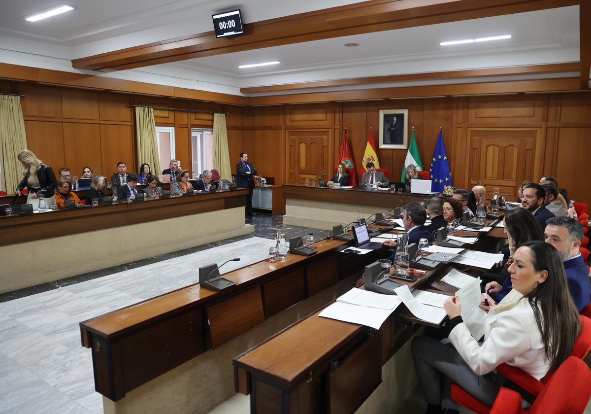 Un momento del Pleno del Ayuntamiento de Córdoba, que se está celebrando este jueves