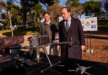 Drones para erradicar la oruga procesionaria de pinos y cedros