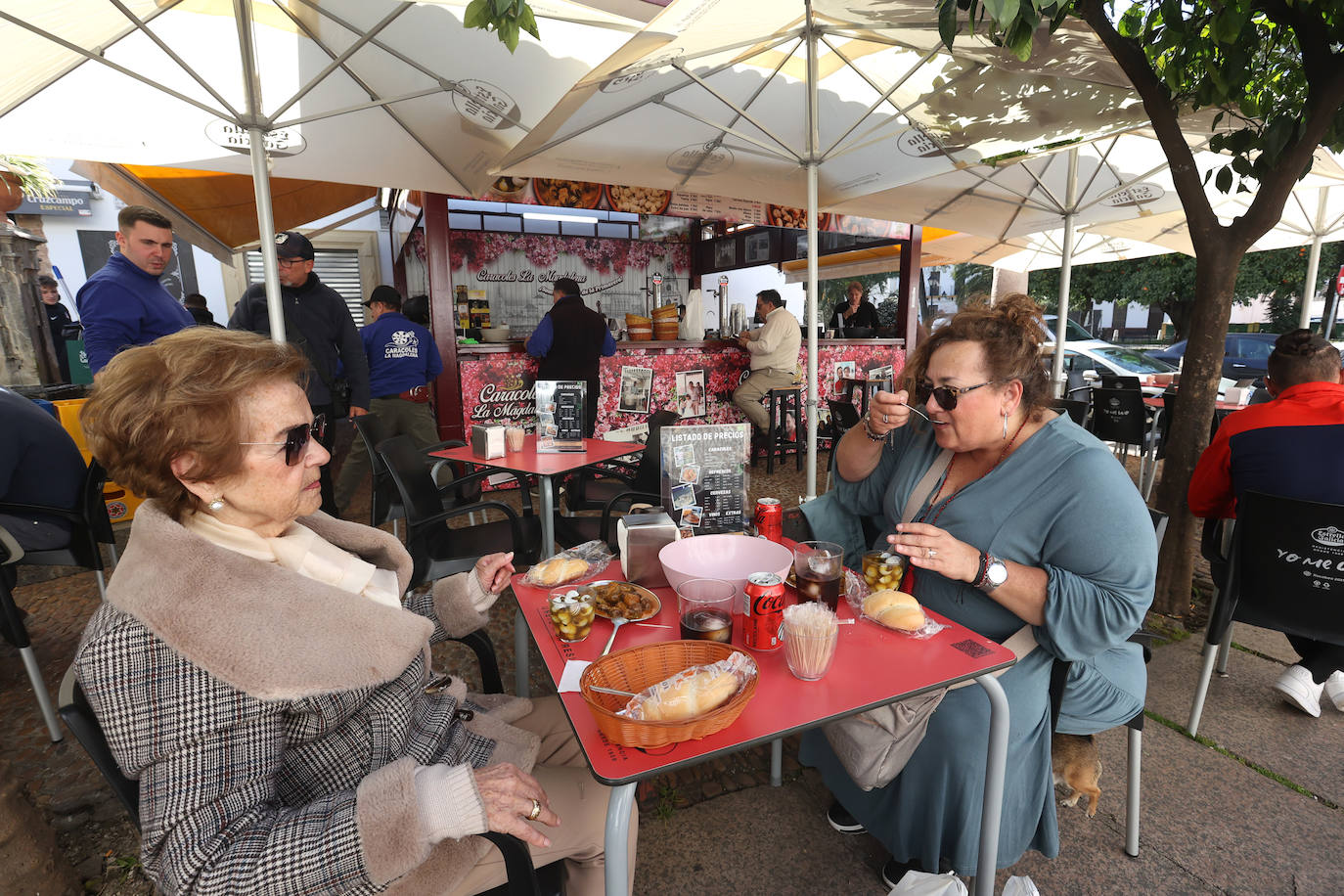 La esperada apertura de los puestos de caracoles en Córdoba, en imágenes
