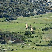 National Geographic se fija en la 'Toscana de Andalucía' como mejor destino rural (y está en Córdoba)