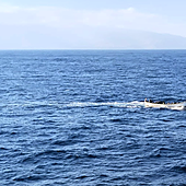 El ferry que cubre la ruta entre islas localiza un cayuco con 60 migrantes cerca de Tenerife