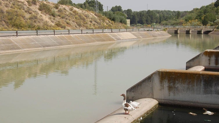 Córdoba se mantiene a la cola en superficie agrícola de regadío en Andalucía