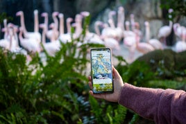 Bioparc Valencia lanza una app para ofrecer una experiencia más inmersiva, educativa y comprometida con la naturaleza