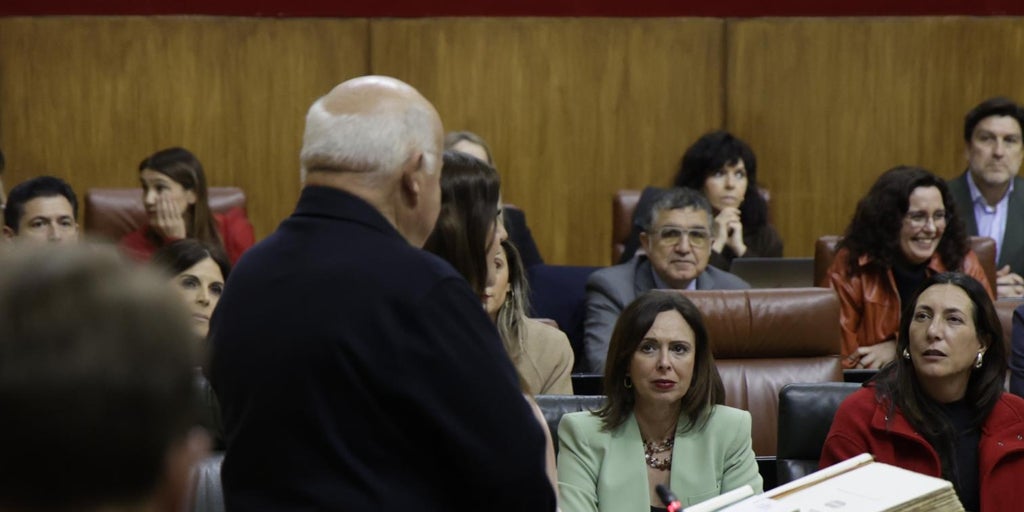 El Parlamento de Andalucía rechaza el «acoso» al Poder Judicial del Gobierno de Pedro Sánchez