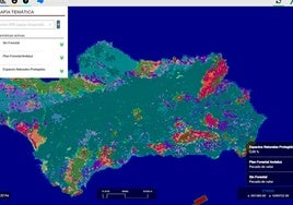 Andalucía presenta el visor de indicadores forestales, una herramienta clave para una gestión sostenible