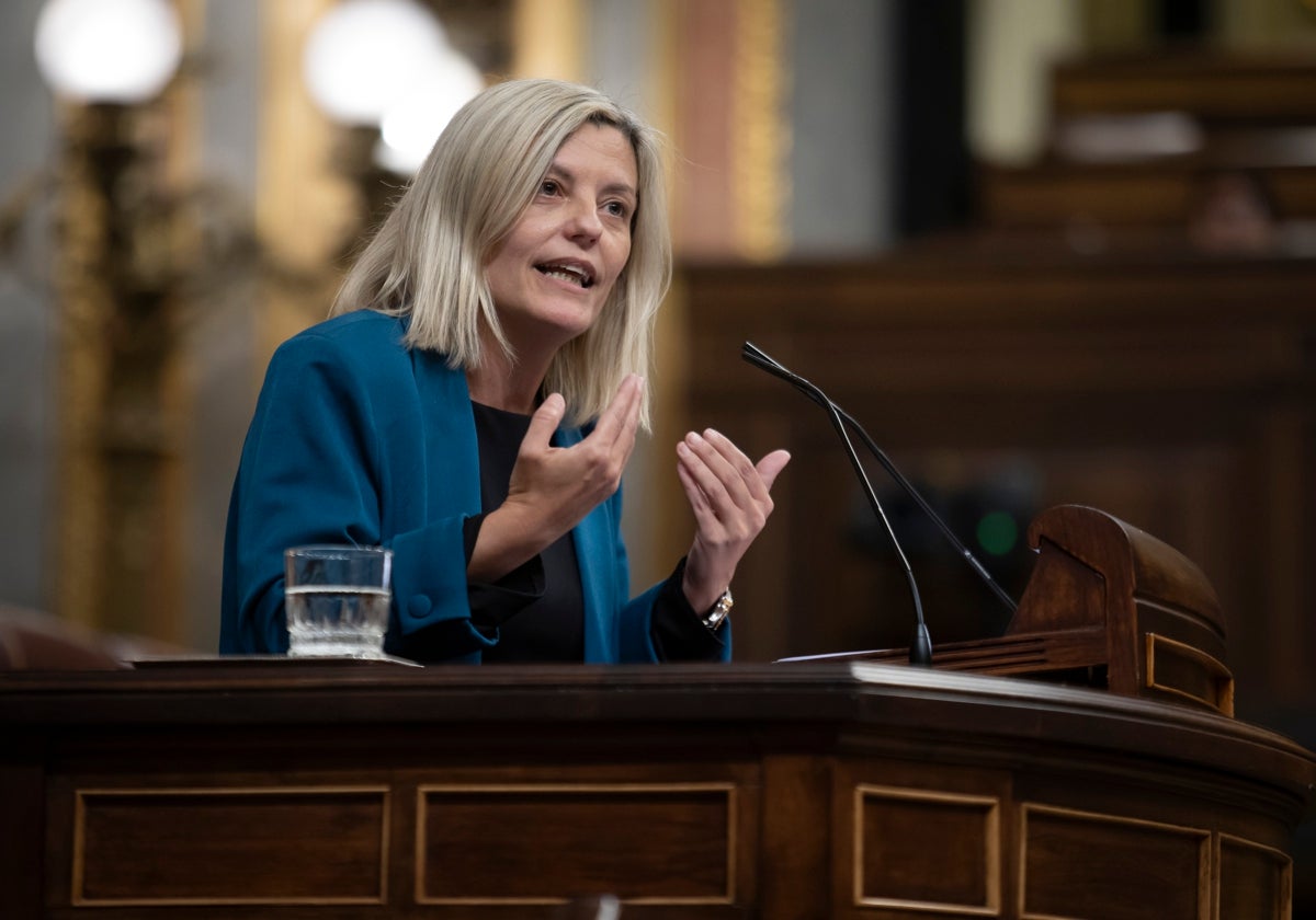 Begoña Nasarre, diputada socialista en el Congreso por Aragón, trató de explicar el viraje en el Parlamento