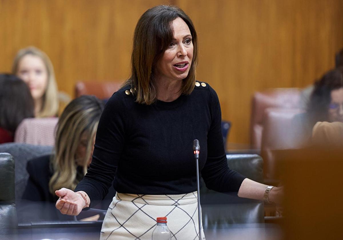 La consejera de Fomento, durante su intervención en el Pleno del Parlamento