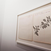 16 galerías catalanas participarán en la feria ARCO 2025 de Madrid