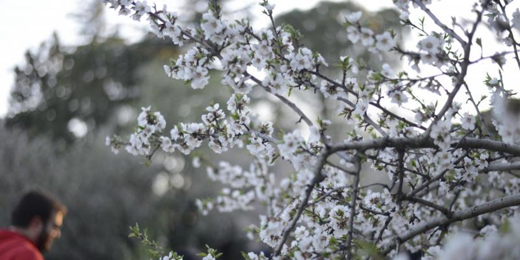 Madrid ya es primavera