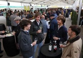 Montilla-Moriles reduce el alcohol de sus vinos para llegar a los jóvenes