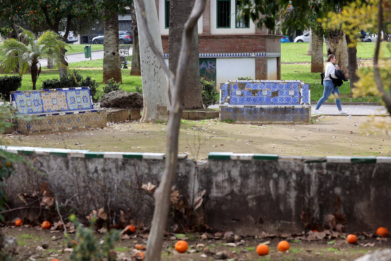 El abandono de los icónicos bancos de los Jardines de Agricultura, en imágenes