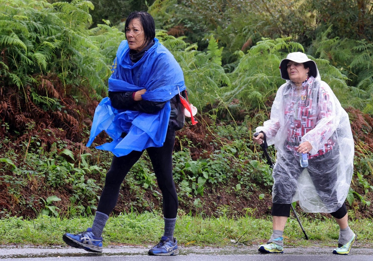 Peregrinos en el Camino a Santiago