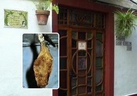 La curiosa leyenda de un bar de Jaén: un jamón momificado, una princesa rusa y una historia de amor