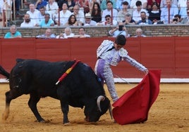 Los novilleros cordobeses Manuel Román y Fuentes Bocanegra torearán este año en Sevilla