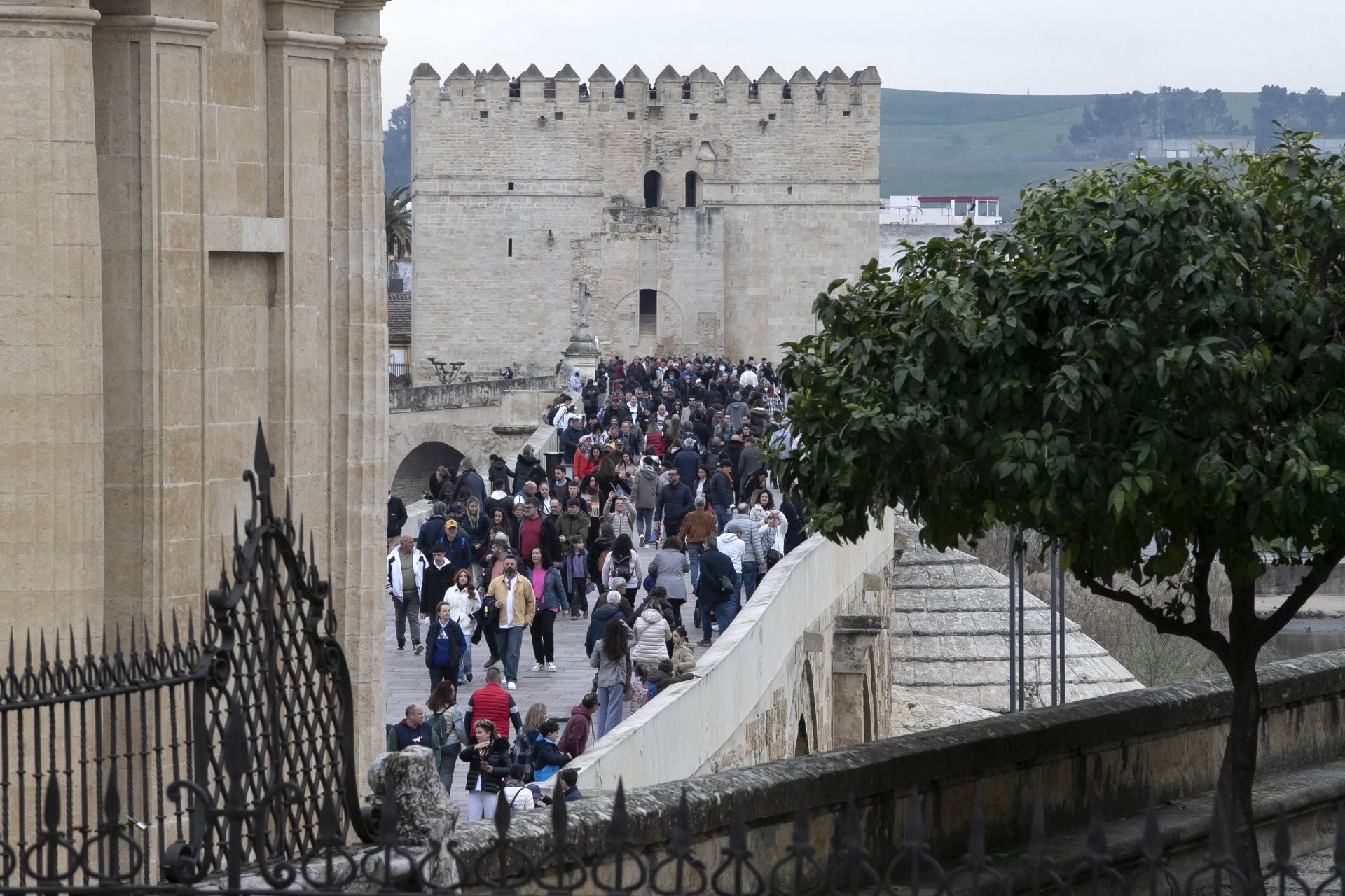El bullicioso ambiente turístico del 28F en Córdoba pese a la lluvia, en imágenes