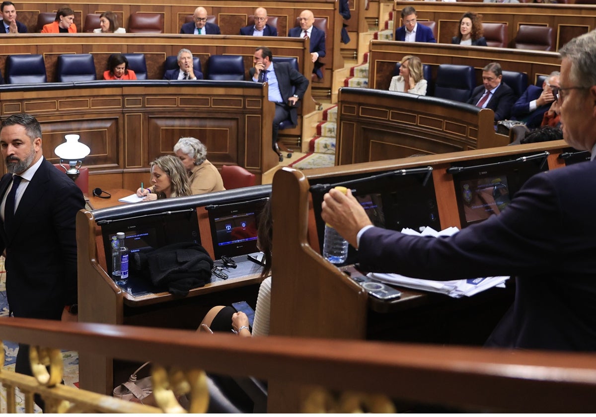 Santiago Abascal y Alberto Núñez Feijoó en el Congreso de los Diputados