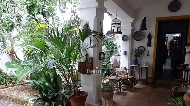 Patio de una casa en el barrio de Santa Marina