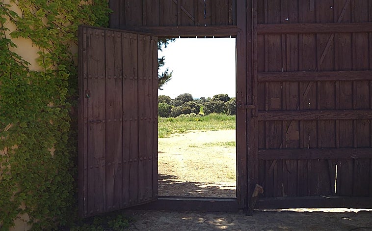 Imagen - Desplante, el primer aceite LGTBI nace en Villanueva de los Infantes