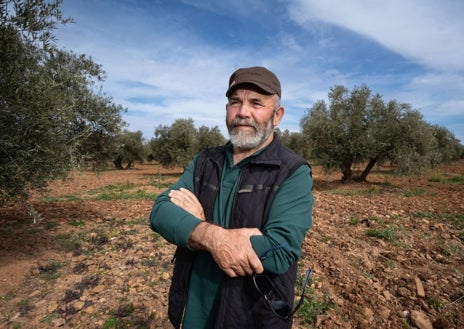 Imagen secundaria 1 - Arriba, el trabajo en la zona del olivo. Abajo, Manuel Vélez, de Torre de Juan Abad, quien opina que «circularían emisiones radiactivas por el medio ambiente al extraer el mineral». A su derecha, Raquel López, de la plataforma civil en defensa de la tierra y vecina de Castellar de Santiago, afirma que no se oponen «al progreso; pero no hay nada que pueda pagar la salud»