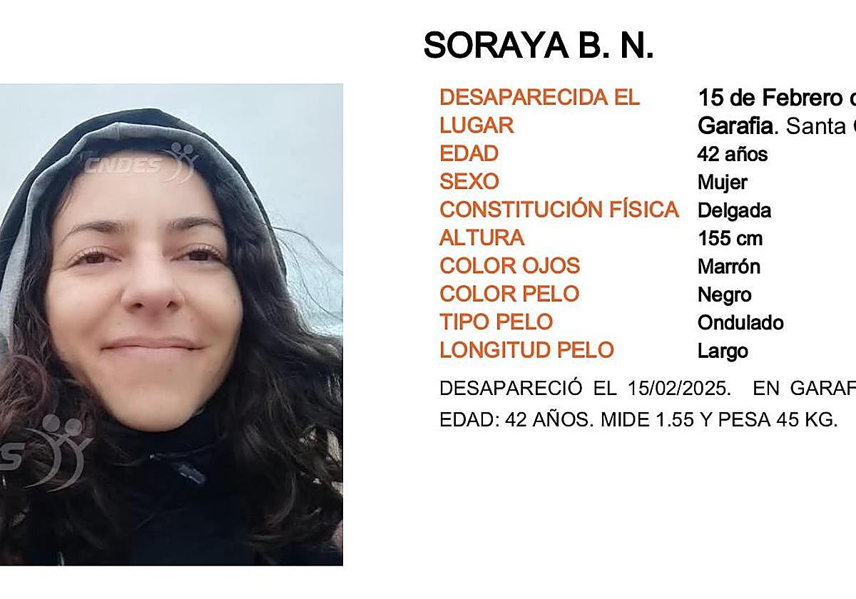 Ficha en el Centro Nacional de Desaparecidos de Soraya Borrallo
