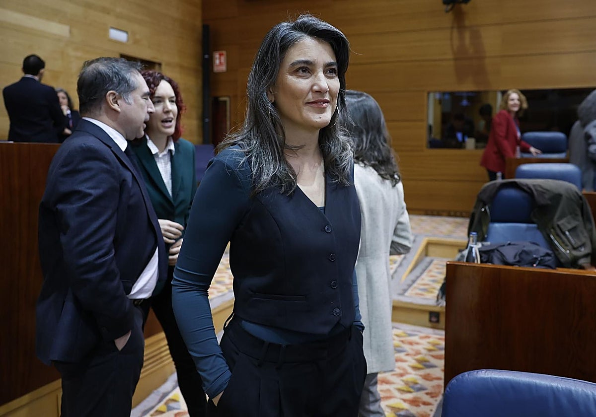 La portavoz de Más Madrid en la Asamblea, Manuela Bergerot