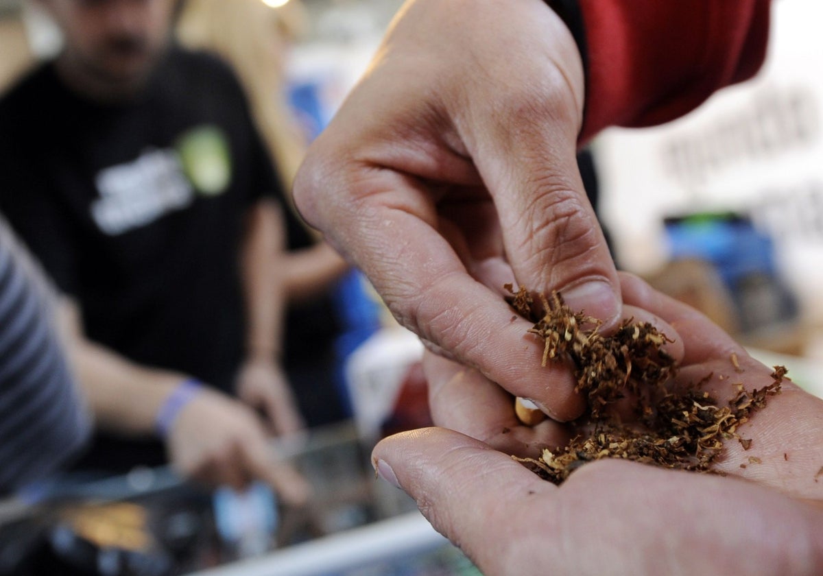 Un hombre lía un cigarrillo con cannabis