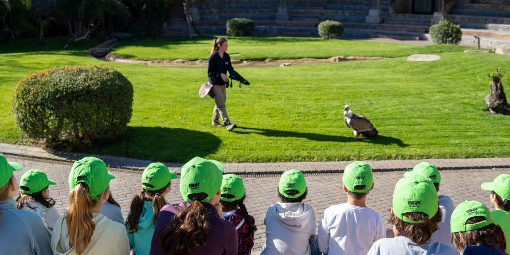 Bioparc Valencia abre las inscripciones para su Escuela de Pascua 'Expedición África'