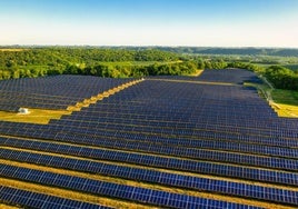 Viridi invertirá 65 millones en una planta solar de 102 megavatios en Cabra