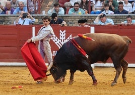 Manuel Román tomará la alternativa en la Feria de Córdoba de la mano de Juan Ortega y Roca Rey