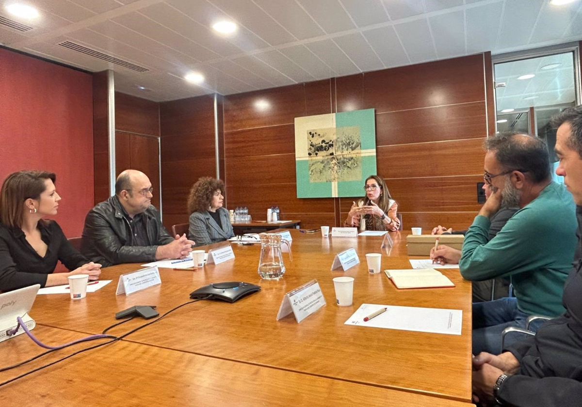 La Diputada del Común, Lola Padrón, en una reunión con trabajadores del área de Menores del Gobierno de Canarias