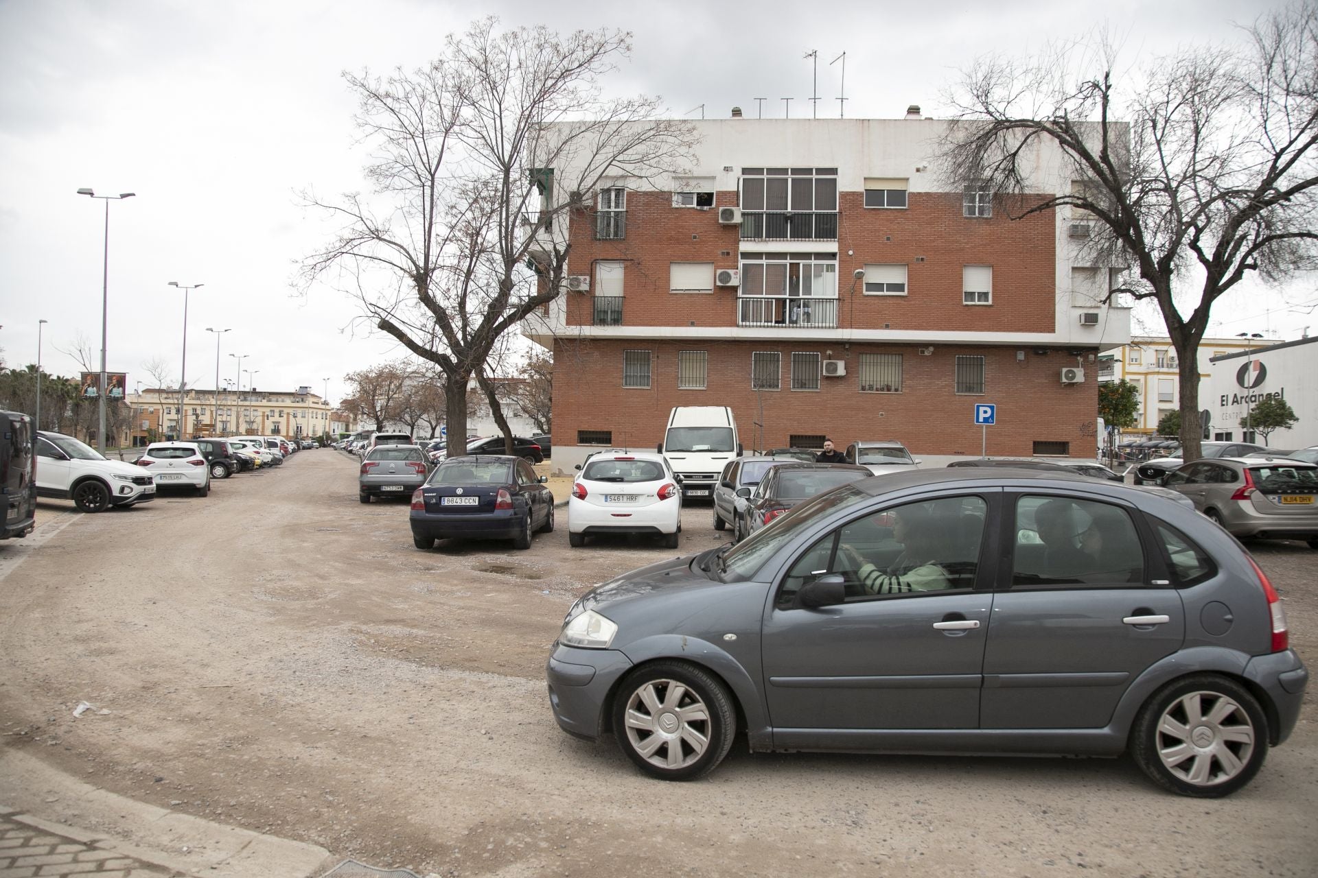 La actividad de los gorrillas en el barrio del Arcángel, en imágenes