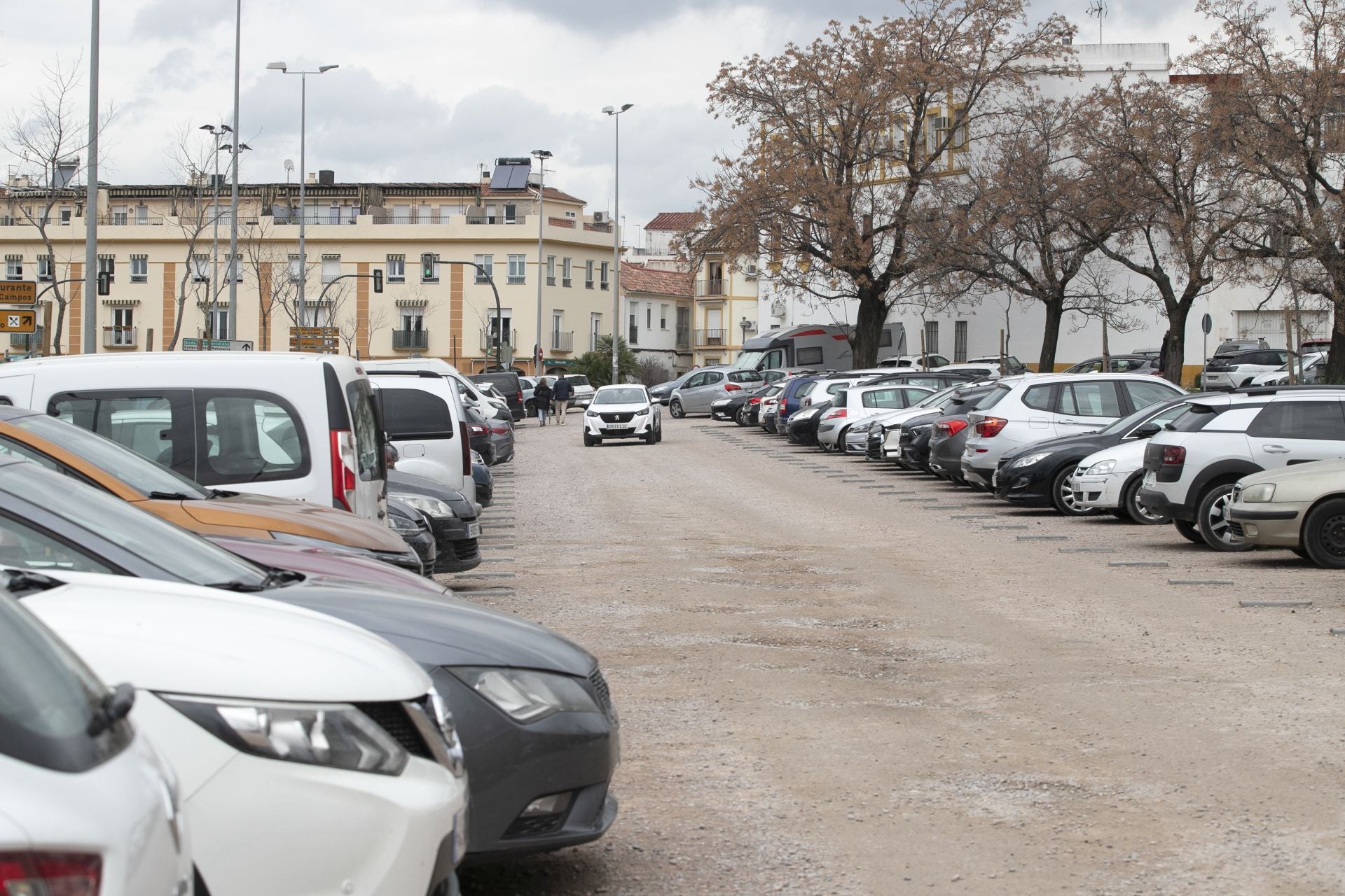 La actividad de los gorrillas en el barrio del Arcángel, en imágenes