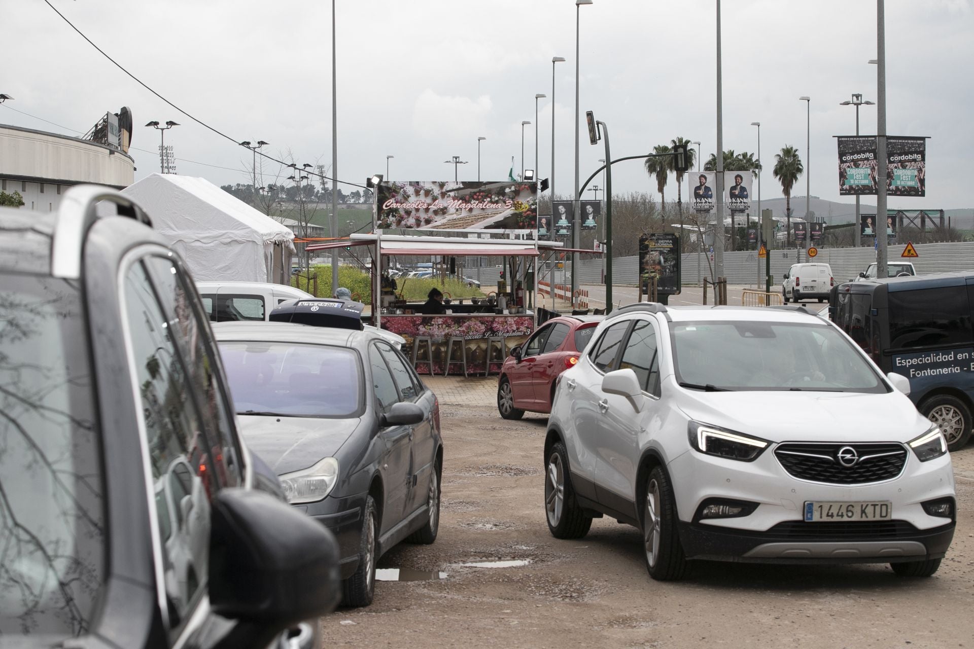La actividad de los gorrillas en el barrio del Arcángel, en imágenes