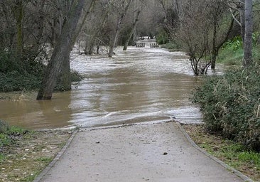 Un puente caído y la crecida del río Miedes, efectos de 'Jana' en Castilla-La Mancha