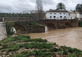 Carreteras, anegaciones y caída de árboles copan las casi 200 incidencias por la lluvia en Andalucía