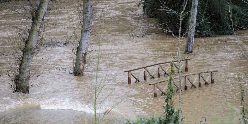 El Gobierno regional eleva la alerta a fase de 'Emergencia' en las provincias de Toledo y Guadalajara