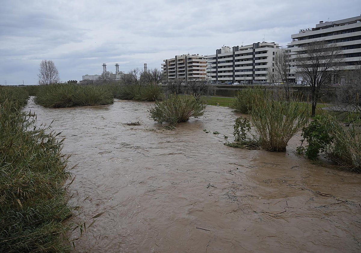 Desembocadura del Besós