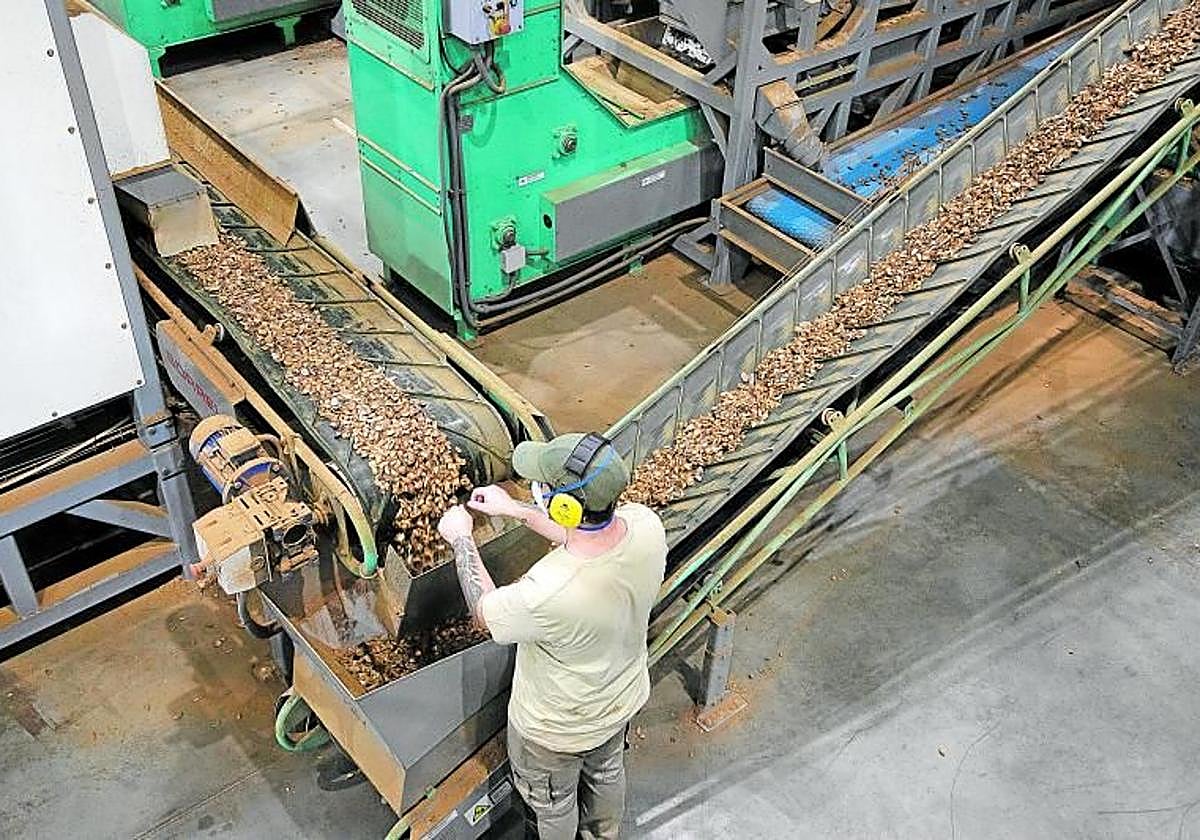 Fábrica de procesado de almendra