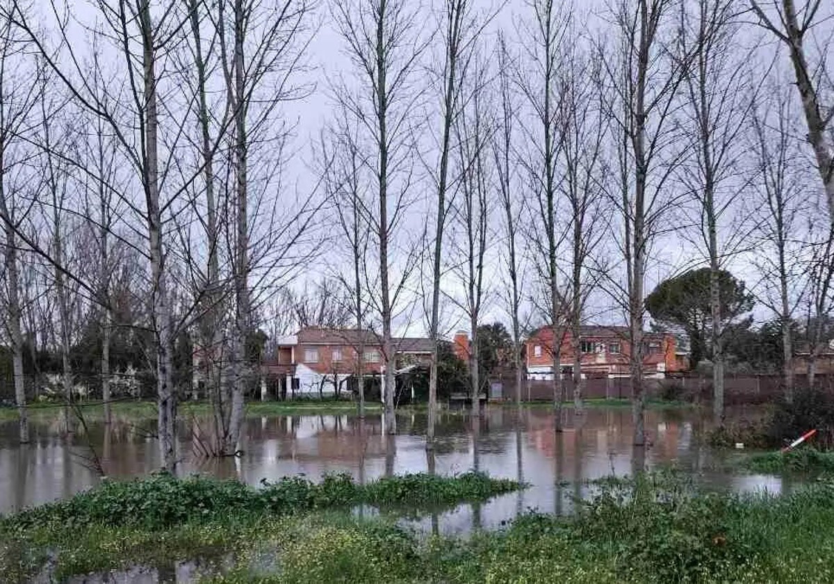 Escalona prepara su polideportivo para acoger a posibles vecinos desalojados por la crecida del Alberche