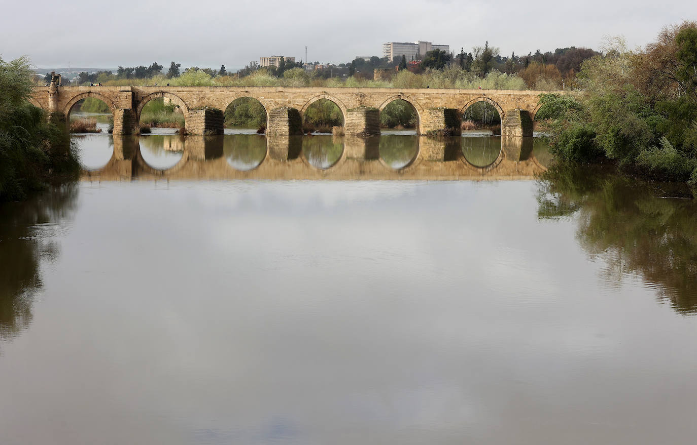 La notable crecida del río Guadalquivir, en imágenes