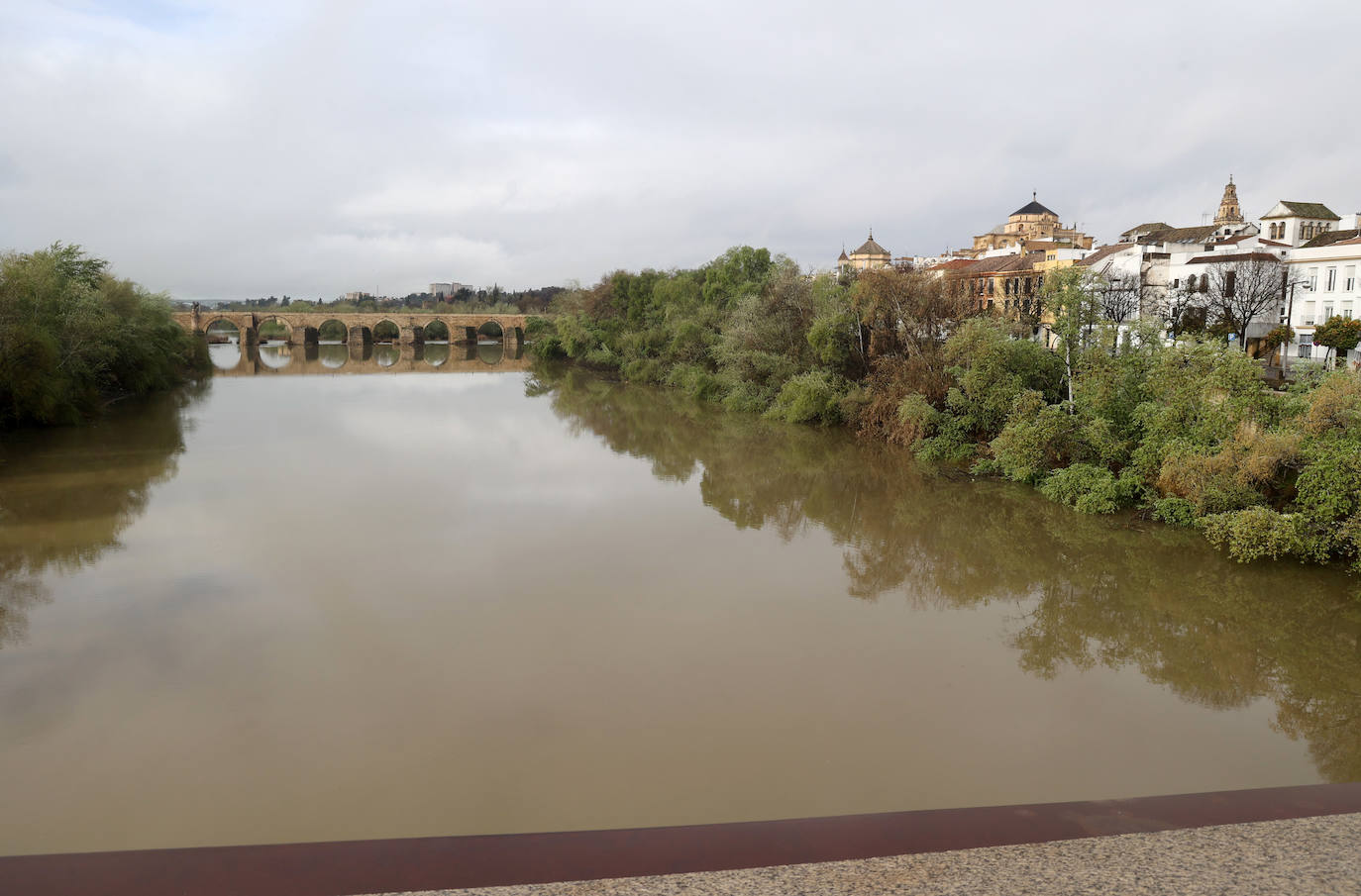 La notable crecida del río Guadalquivir, en imágenes