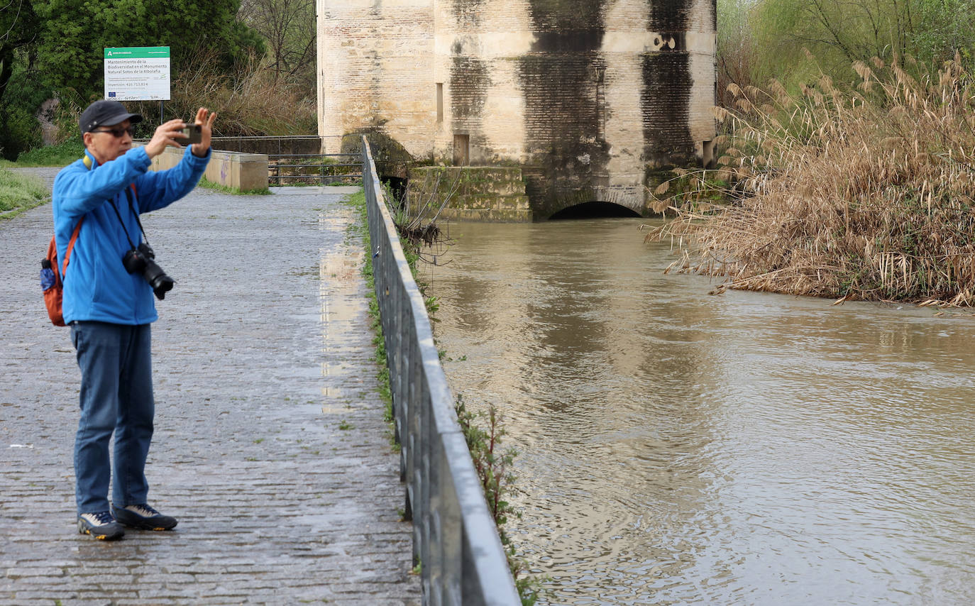 La notable crecida del río Guadalquivir, en imágenes